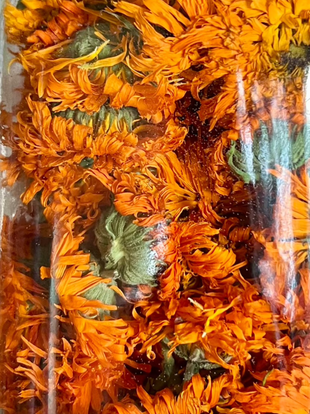 Calendula Body Butter