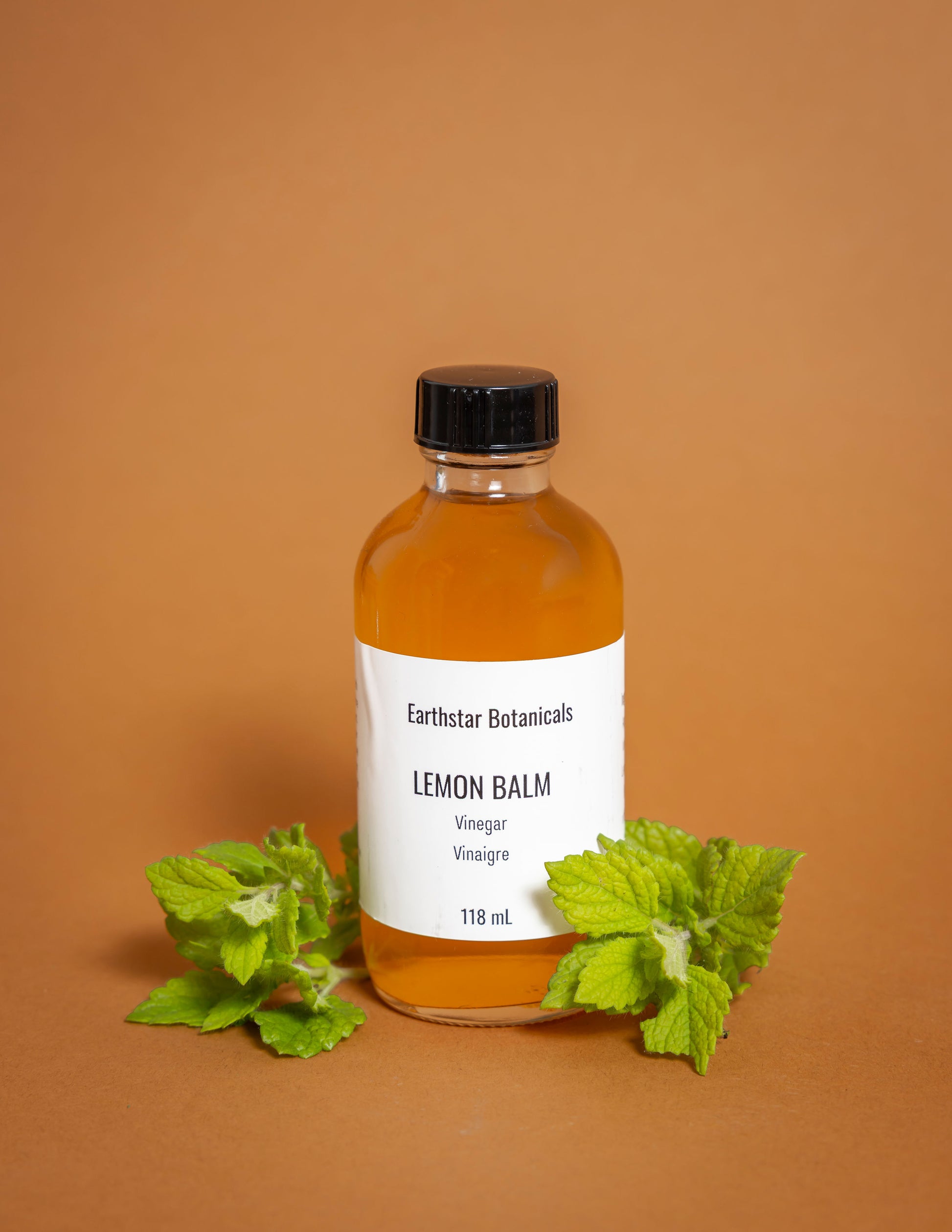 Bottle of Earthstar Botanicals Lemon Balm Vinegar on an orange background