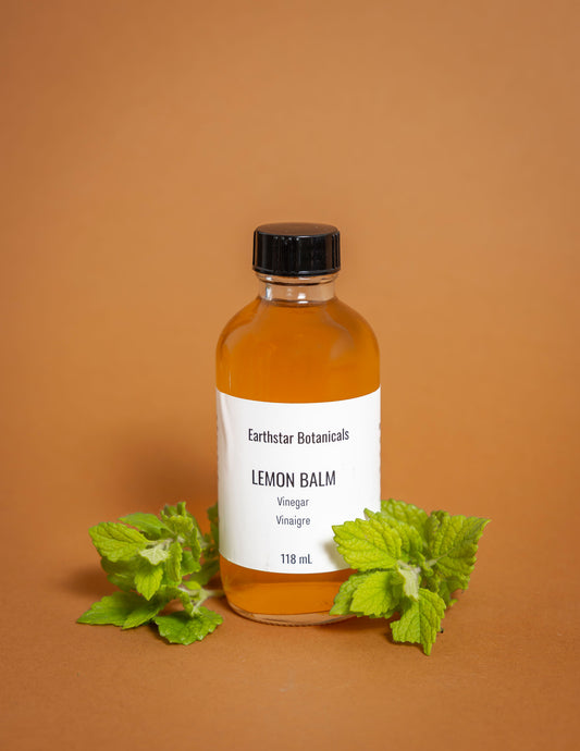 Bottle of Earthstar Botanicals Lemon Balm Vinegar on an orange background