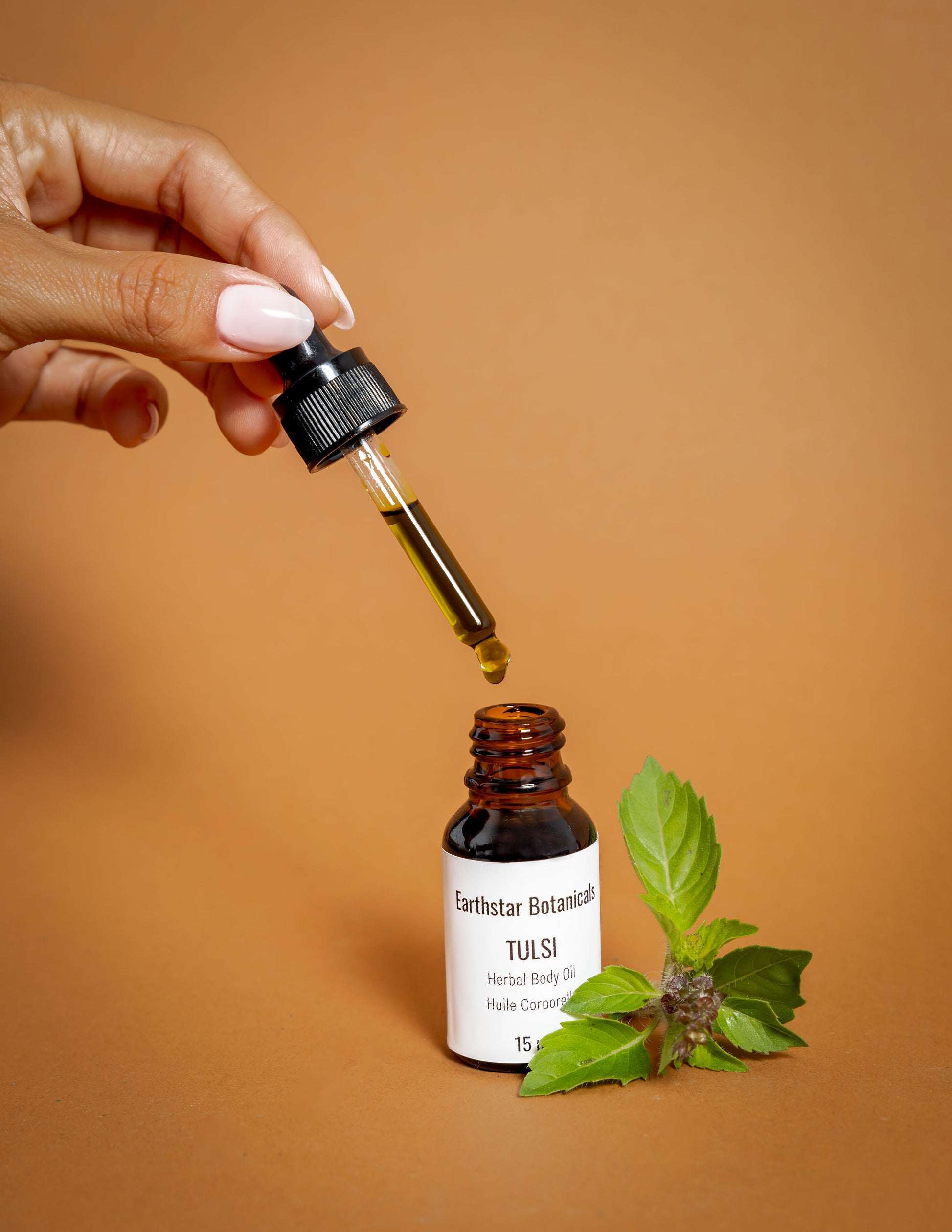 Hand holding a dropper over a bottle of Earthstar Botanicals Tulsi Herbal Body Oil with a sprig of Besobela Tulsi on an orange background