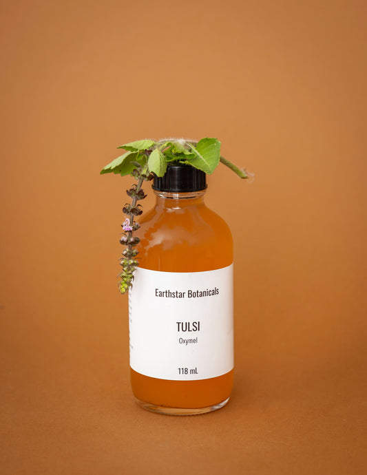 Bottle of Earthstar Botanicals Tulsi oxymel with a label on an orange background